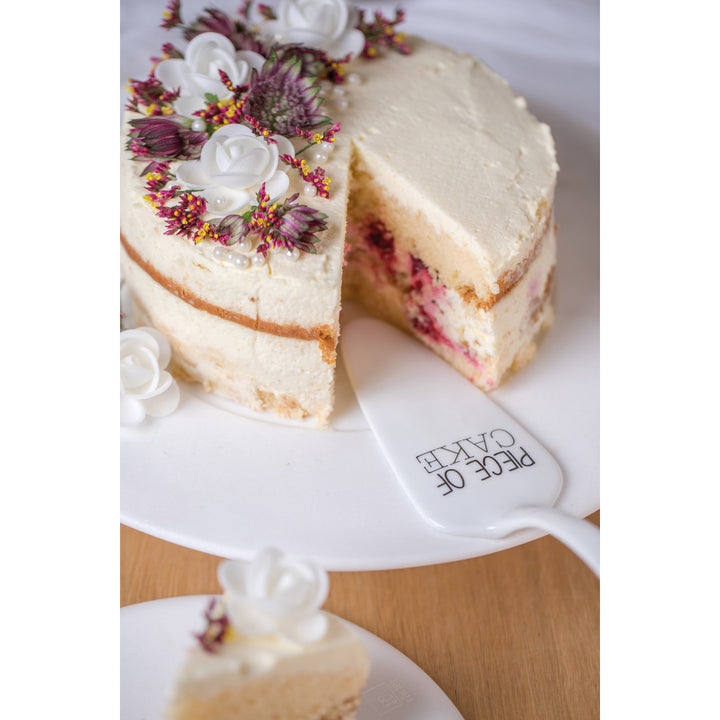 gâteau avec pelle à tarte pièce of a cake 4avril