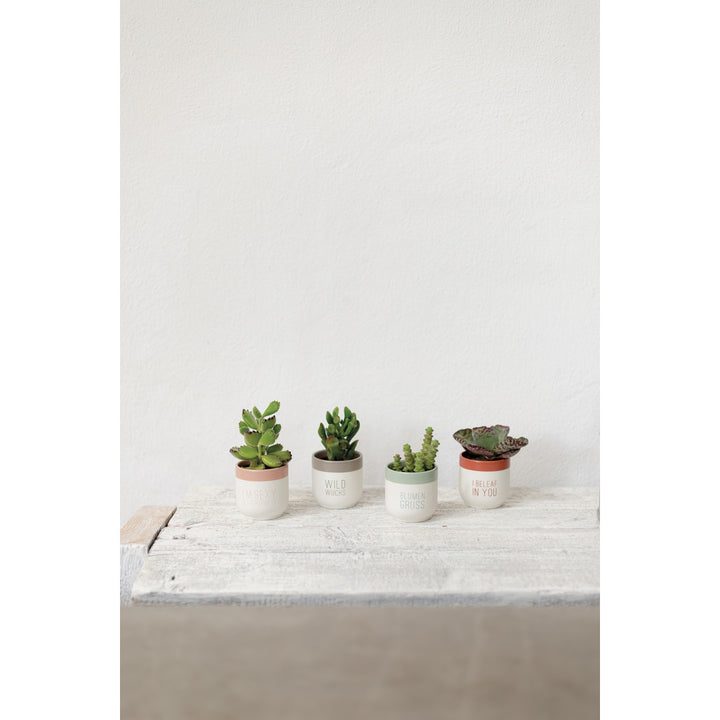 4 pots avec plantes sur table 4avril