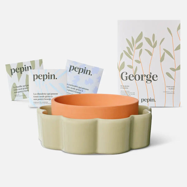 pot vert sauge avec pot terre cuite 3 sachets de graines 4avril