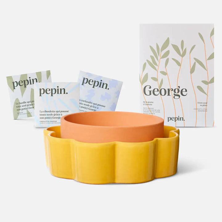 pot jaune moutarde avec pot terre cuite 3 sachets de graines 4avril