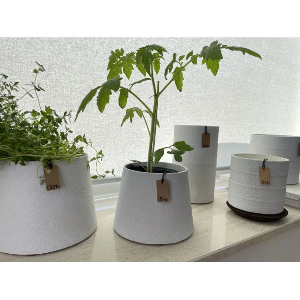 pots de fleurs papier conique blanc avec plantes 4avril