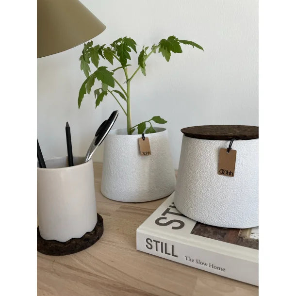 pots de fleurs papier conique blanc sur bureau avec plantes 4avril