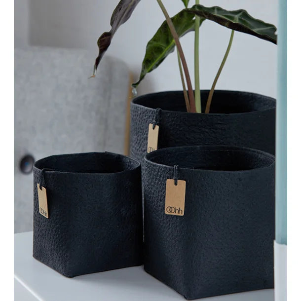 3 pots de fleurs papier noir texturé pois avec plante 4avril