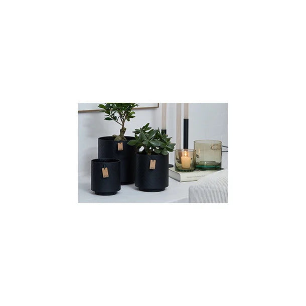 3 pots de fleurs noir en papier avec plantes 4avril