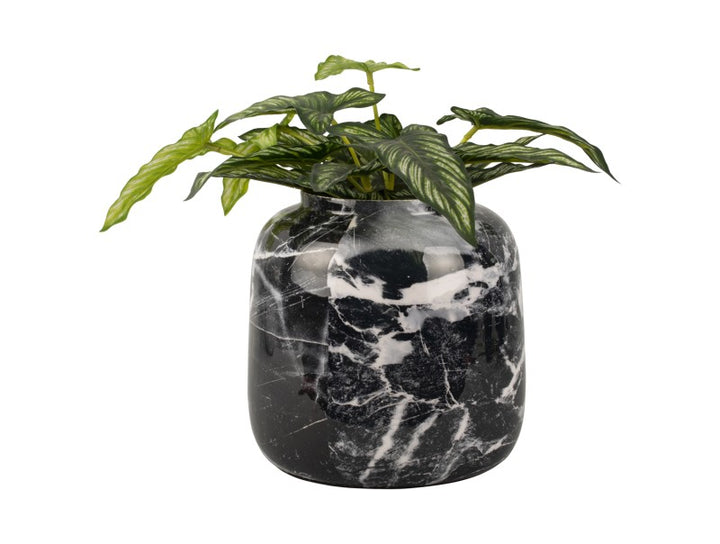 vase small marbre noir avec plante 4avril
